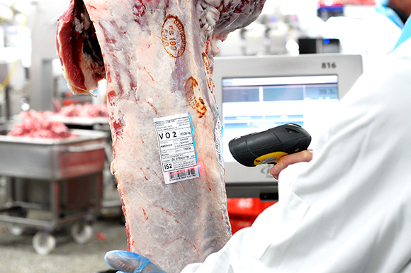 Scanning vor Zerlegung